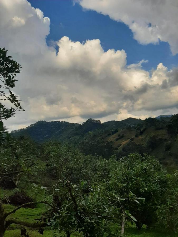 Alojamiento Rural San Francisco Salento Exteriér fotografie